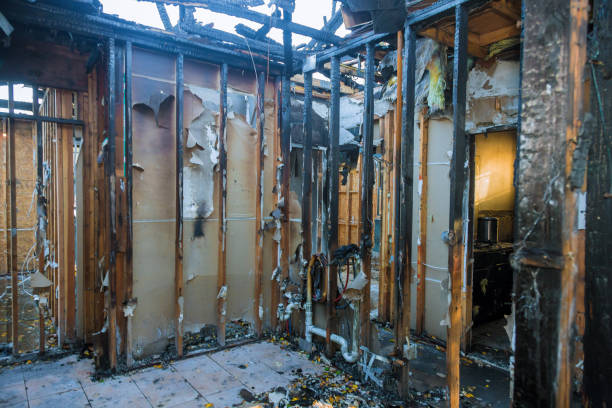 Professional Fire Damage Repair technician working in Five Points, FL